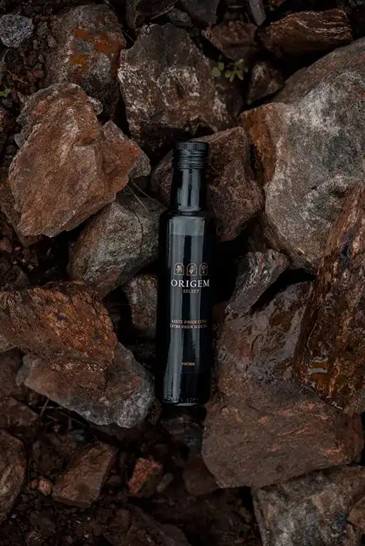 Vinhos